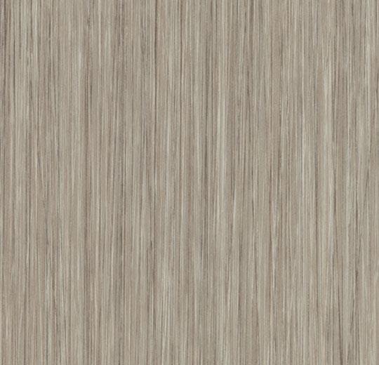 61253-oyster-seagrass